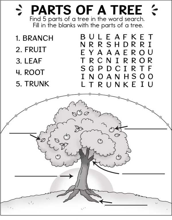 parts of the tree worksheet