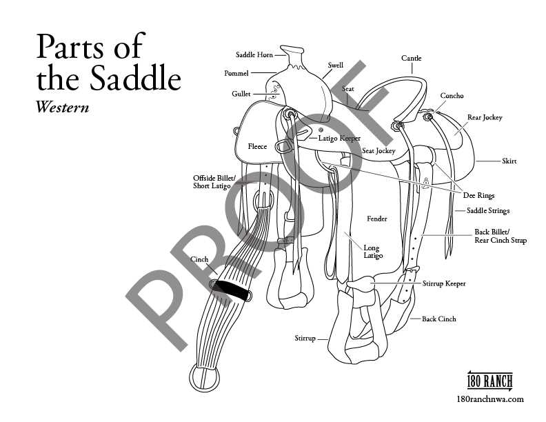 parts of the western saddle worksheet