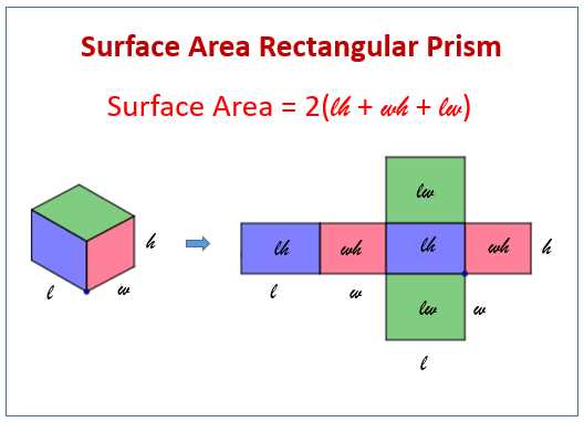 surface area 6th grade worksheets