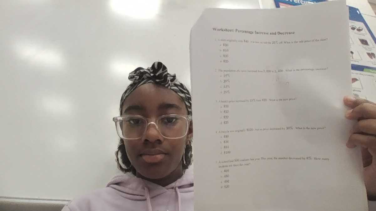 percentage increase and decrease worksheet