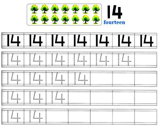 worksheet number 14