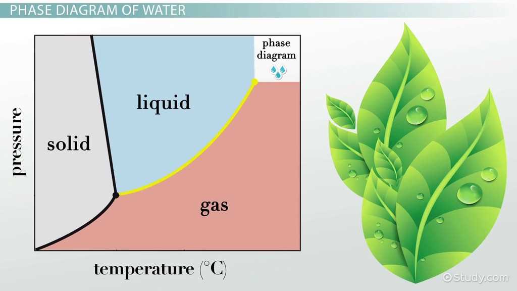 phase diagram worksheet