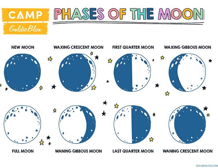 phases of the moon worksheet