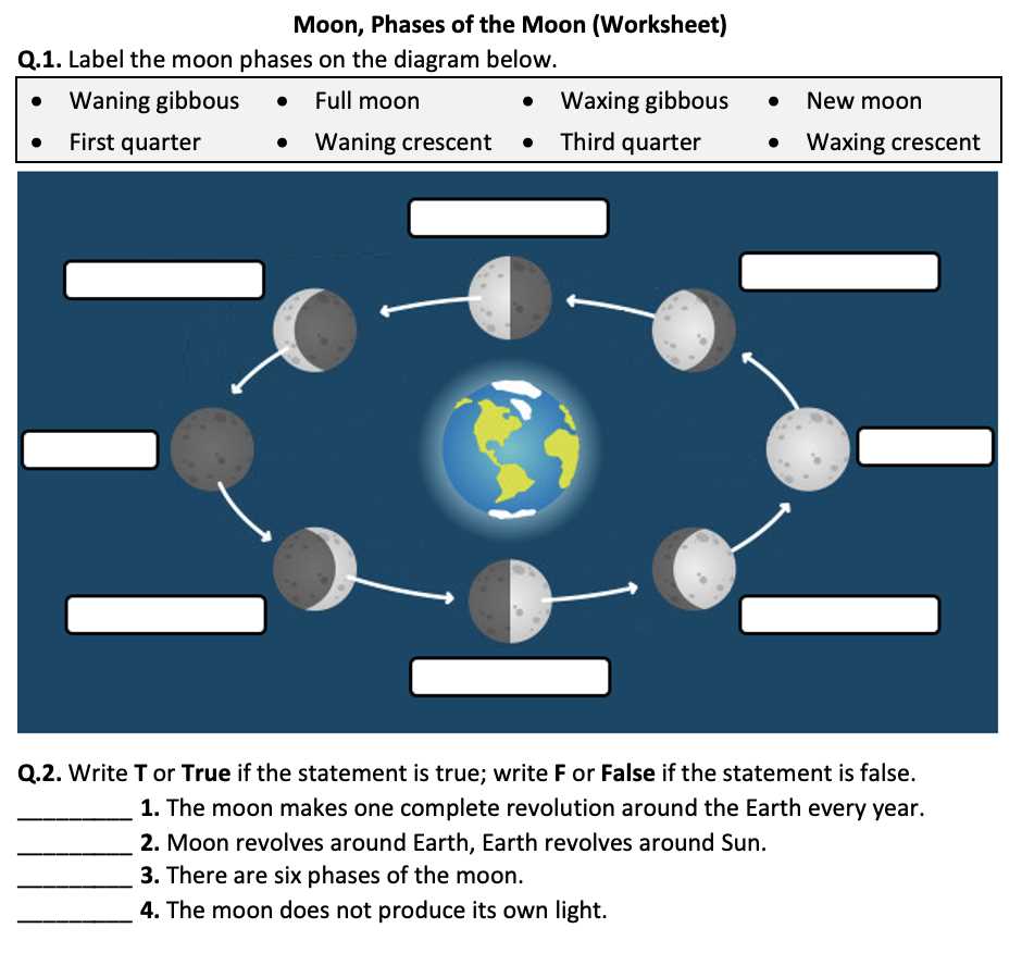 phases of the moon worksheets