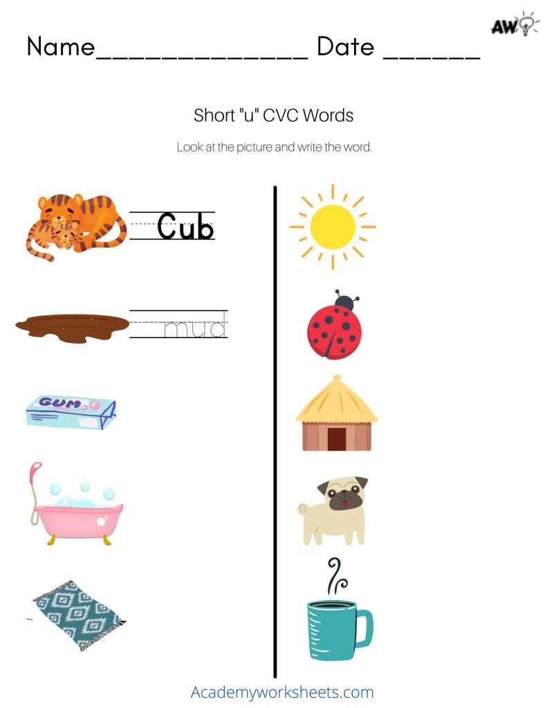 cvc words worksheets for grade 1