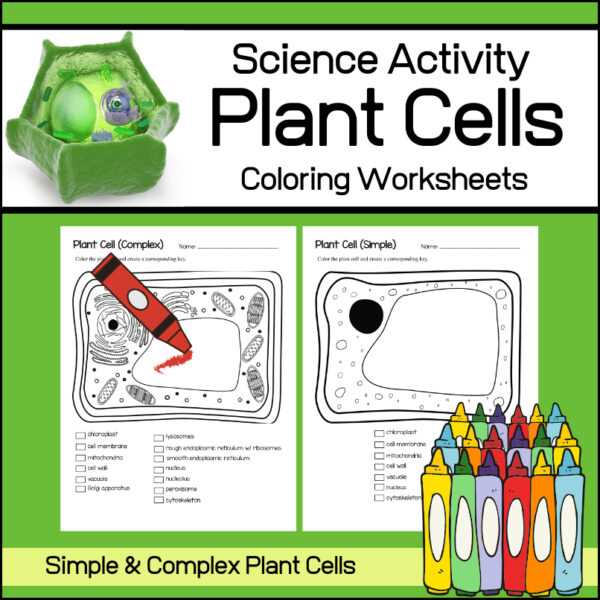 plant and animal cell coloring worksheets