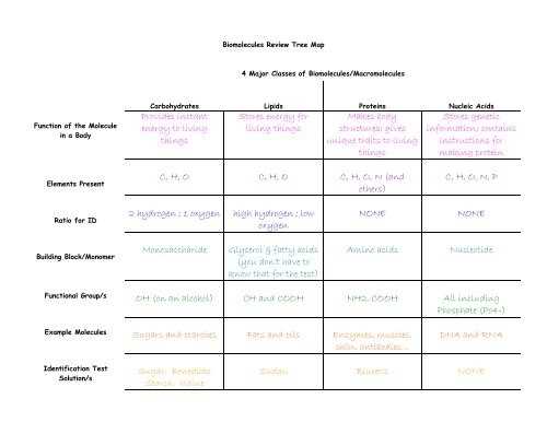biomolecules review worksheet