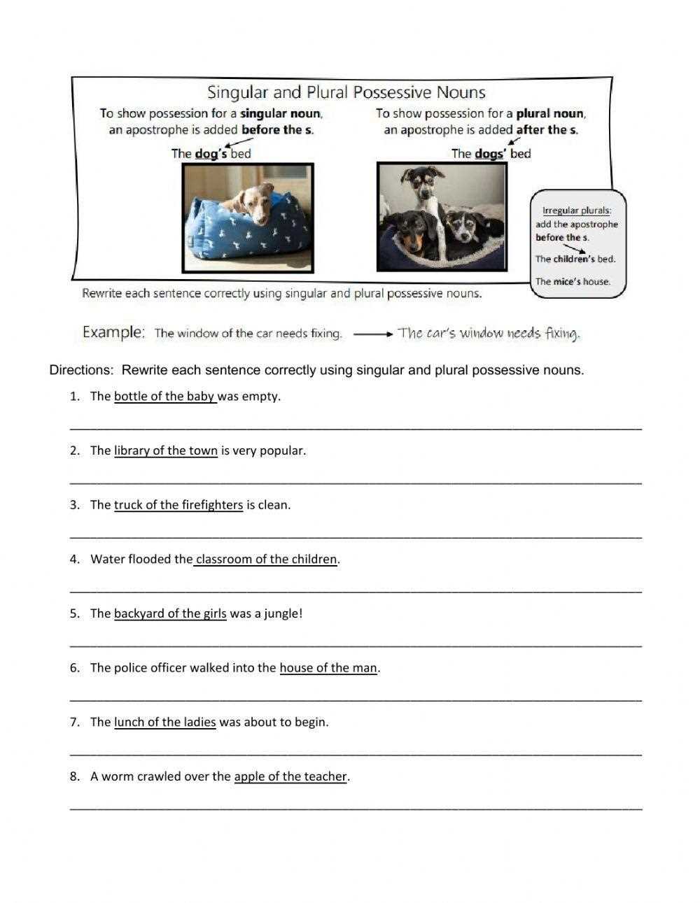 plural nouns and possessive nouns worksheets