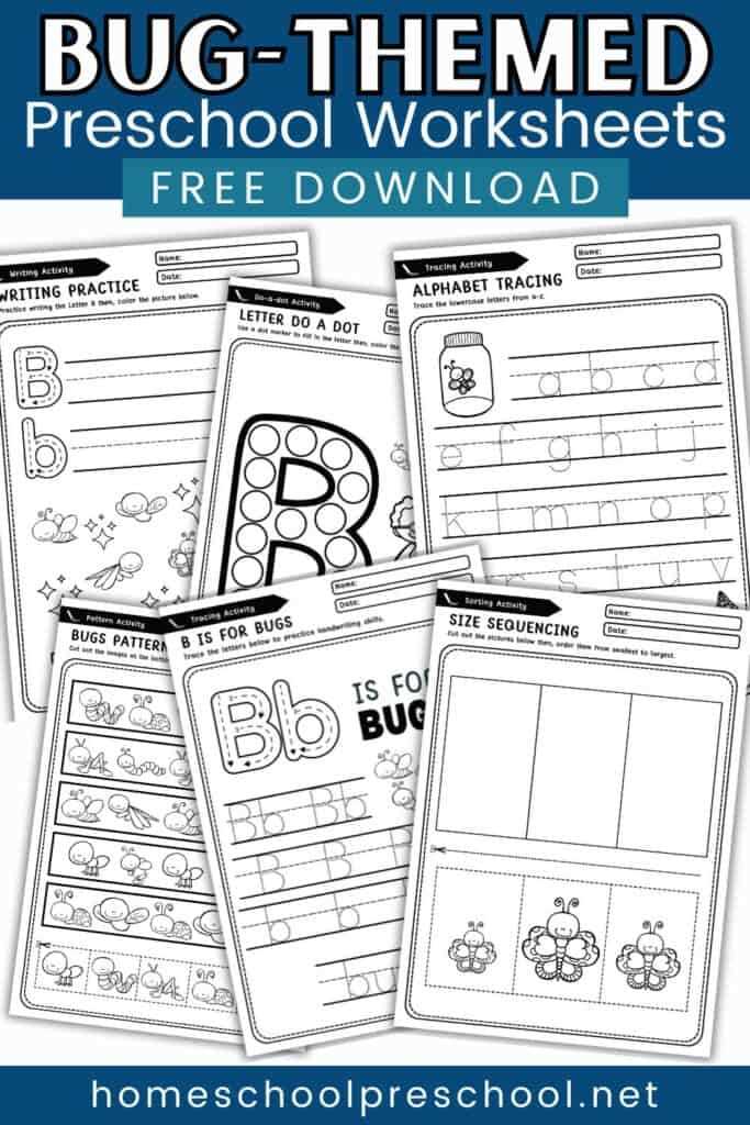 preschool bug worksheets