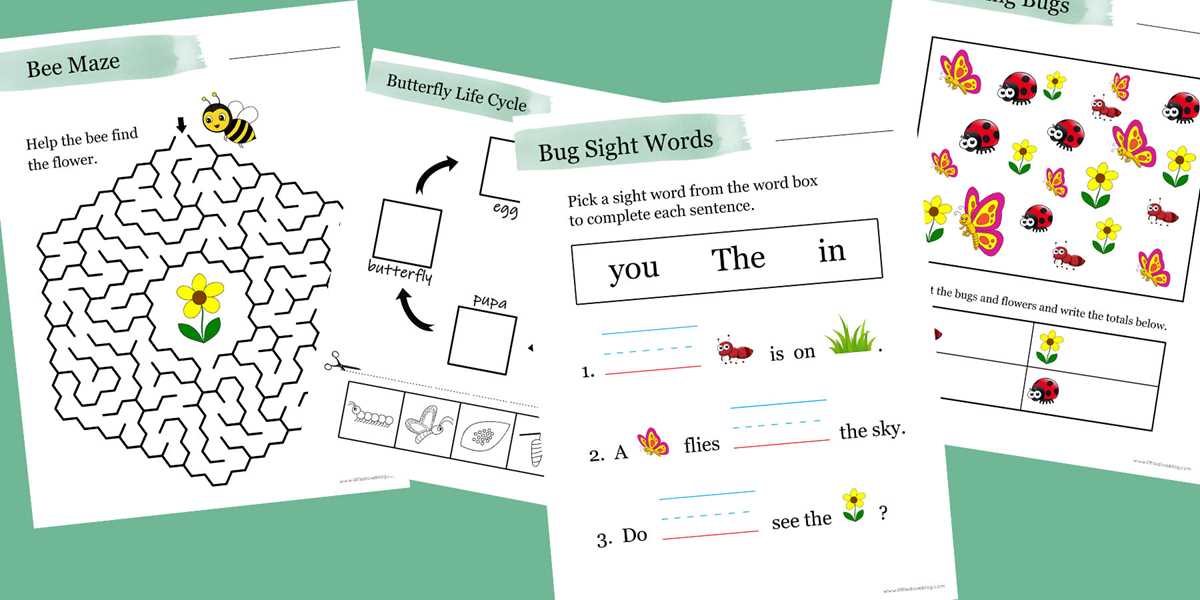 preschool bug worksheets