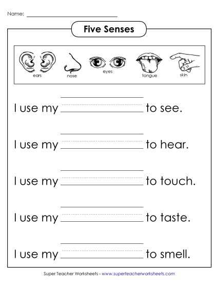 preschool five senses worksheets preschool five senses worksheets