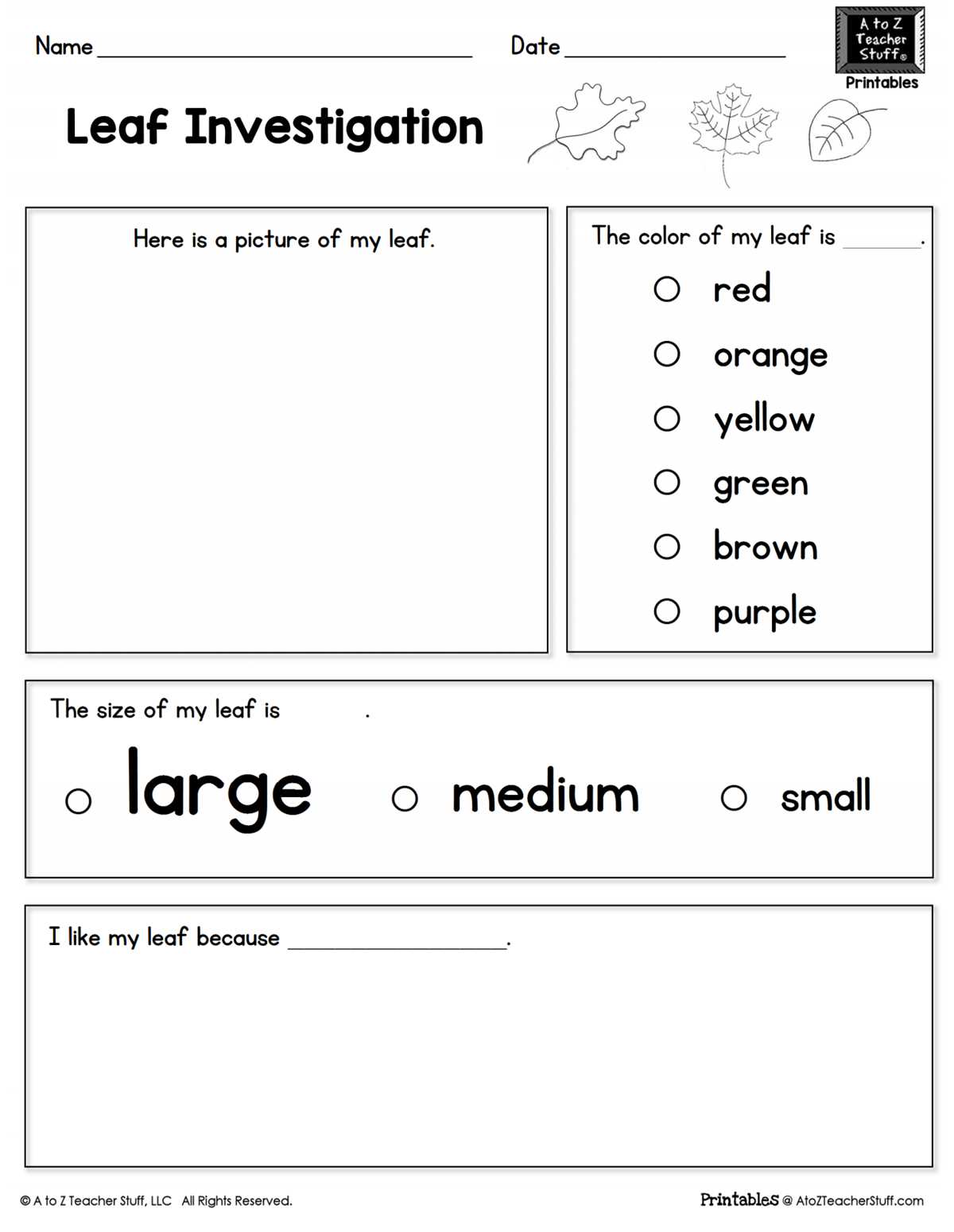preschool leaf worksheets