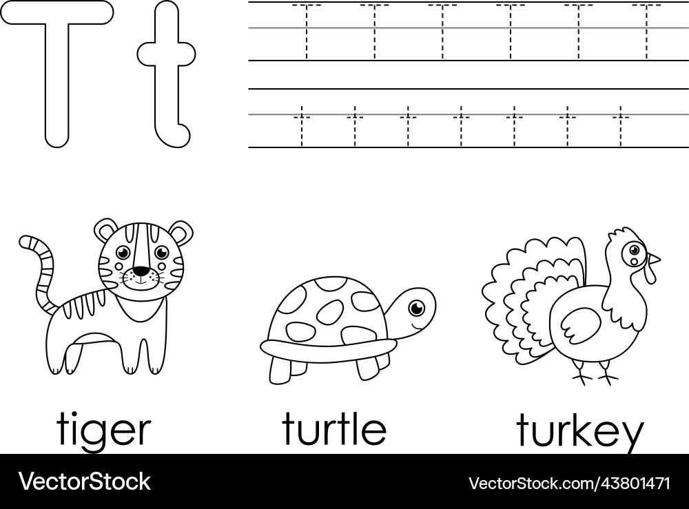 preschool letter t worksheets