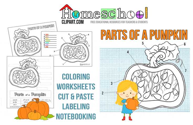 printable pumpkin worksheets for preschool printable pumpkin worksheets for preschool