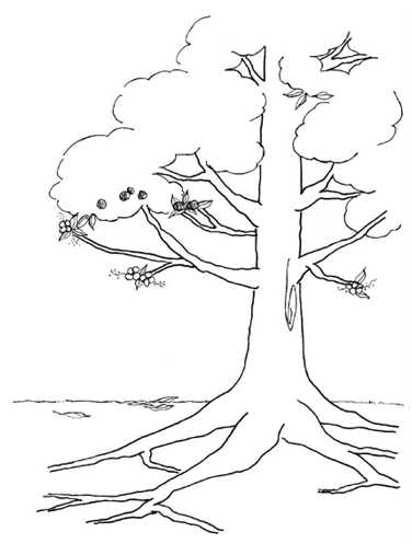printable tree of life narrative therapy worksheet