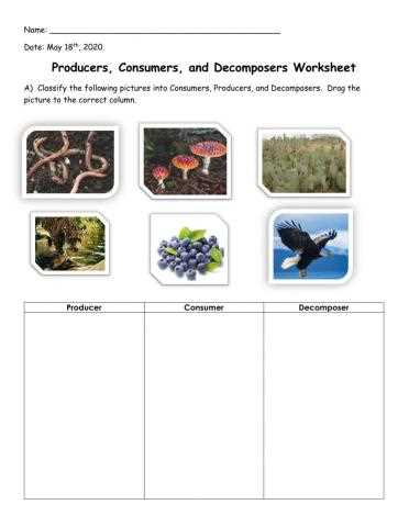producers and consumers worksheet