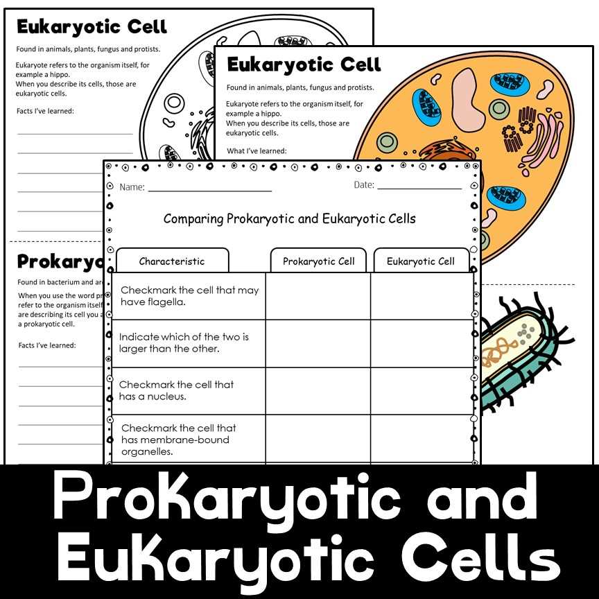 prokaryote worksheet