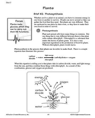 science worksheets for grade 6