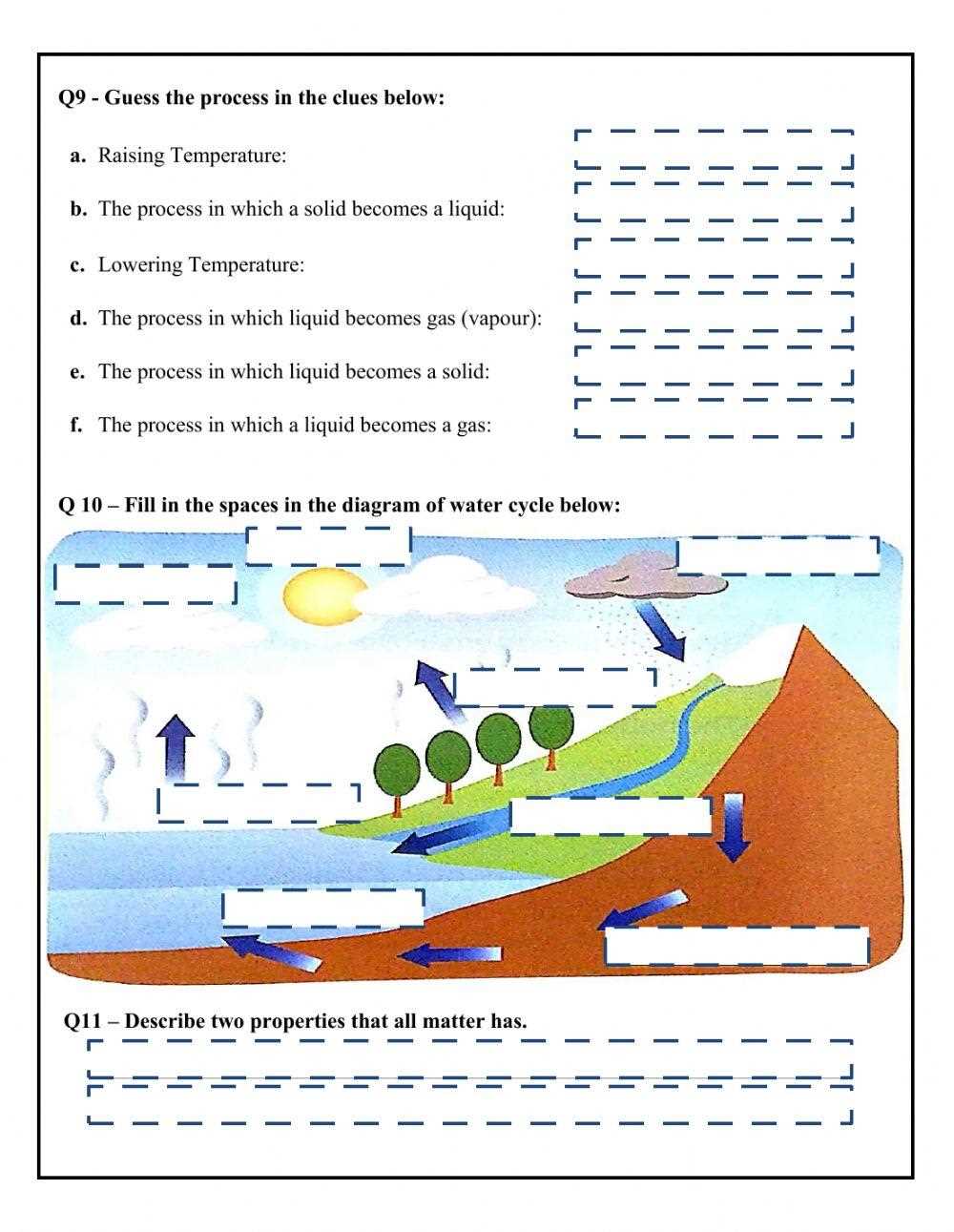 science worksheet class 5