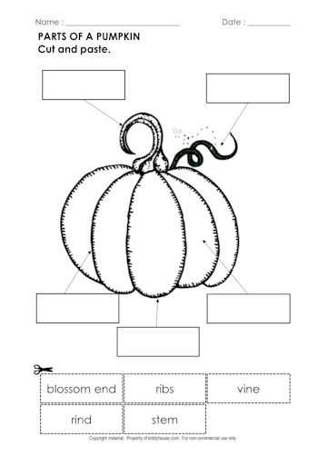 pumpkin parts worksheet