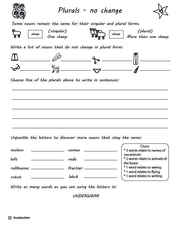 changing singular nouns to plural worksheet