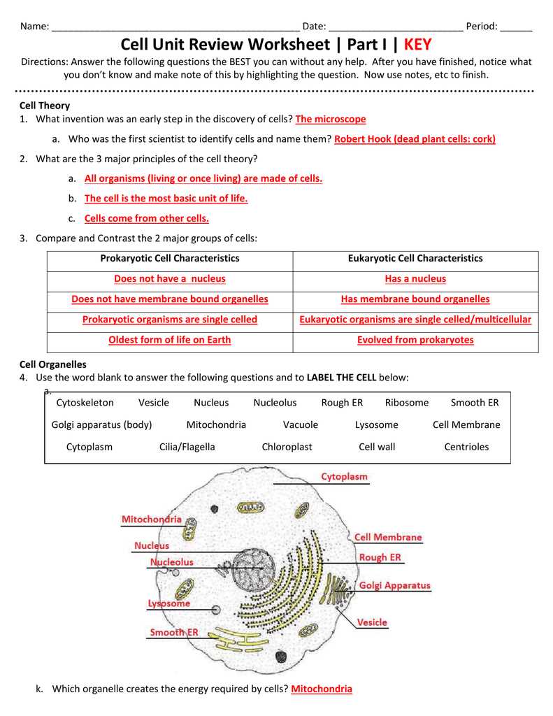 cell organelle worksheets