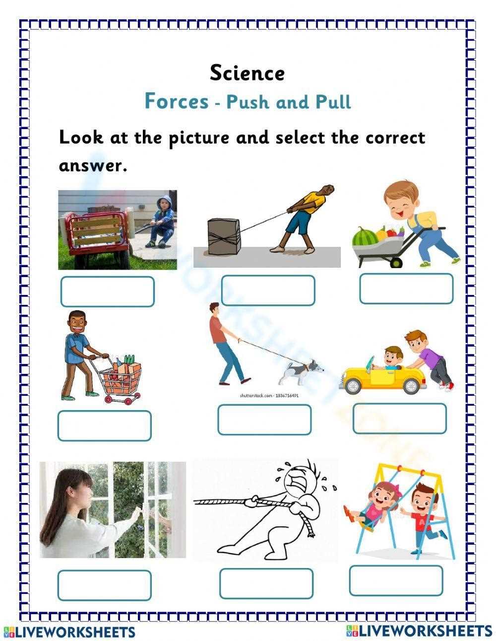 free printable 7th grade science worksheets
