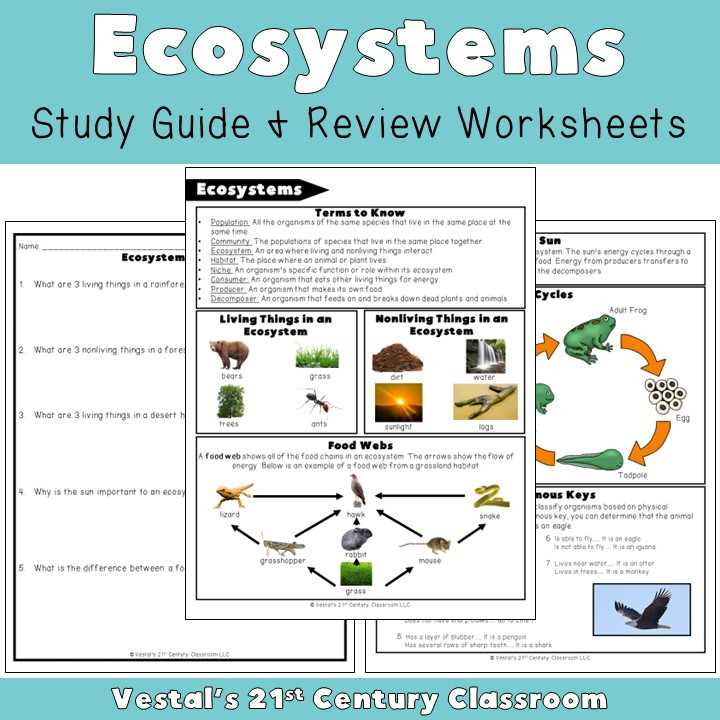 interactions in ecosystems worksheet