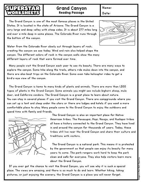 5th grade reading worksheets