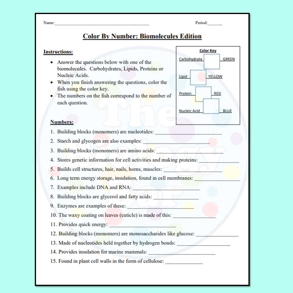biomolecules review worksheet
