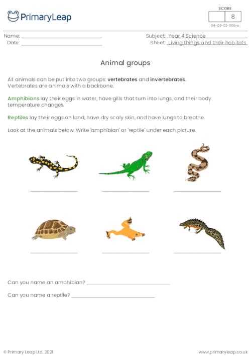 diversity of living things worksheet