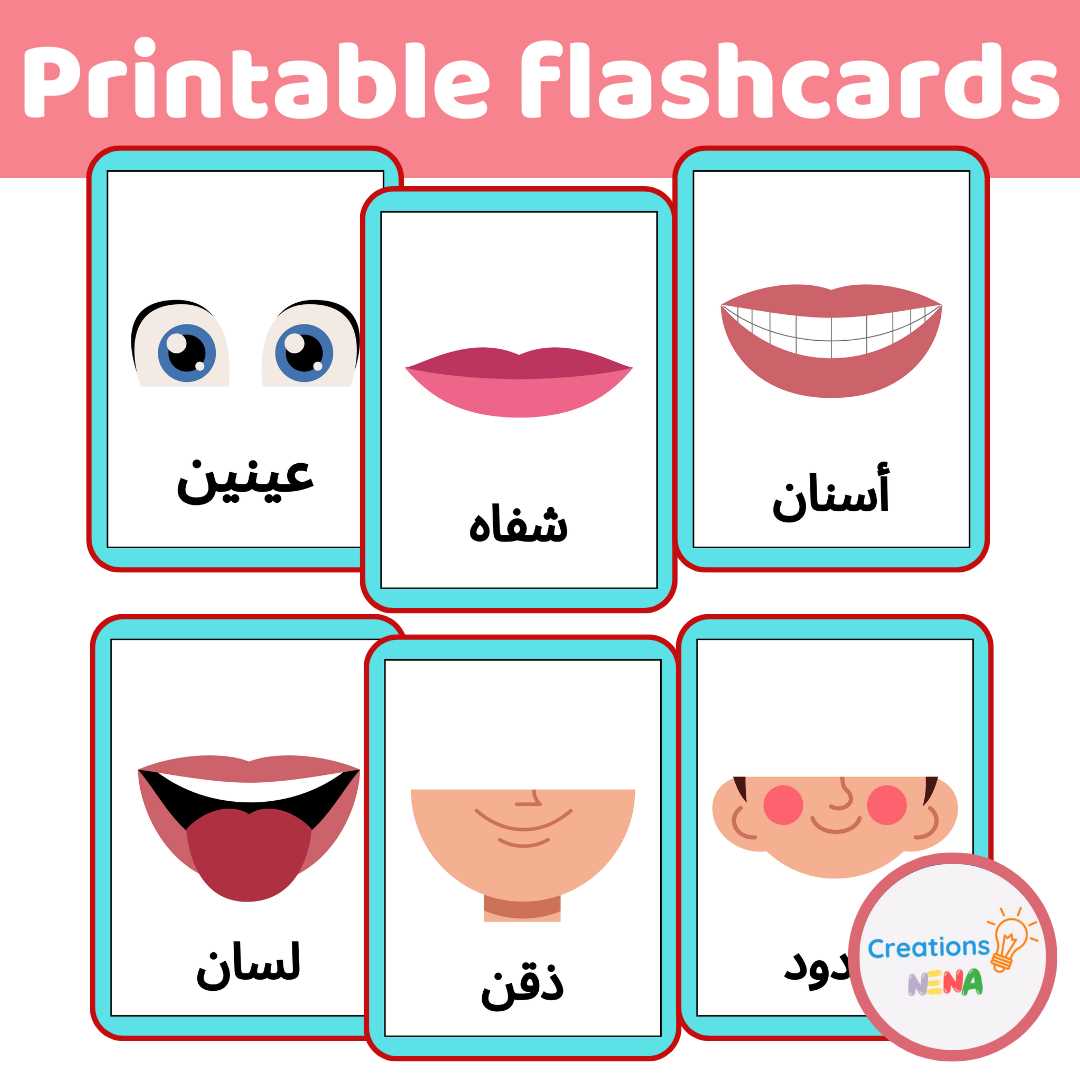 body parts in arabic worksheet