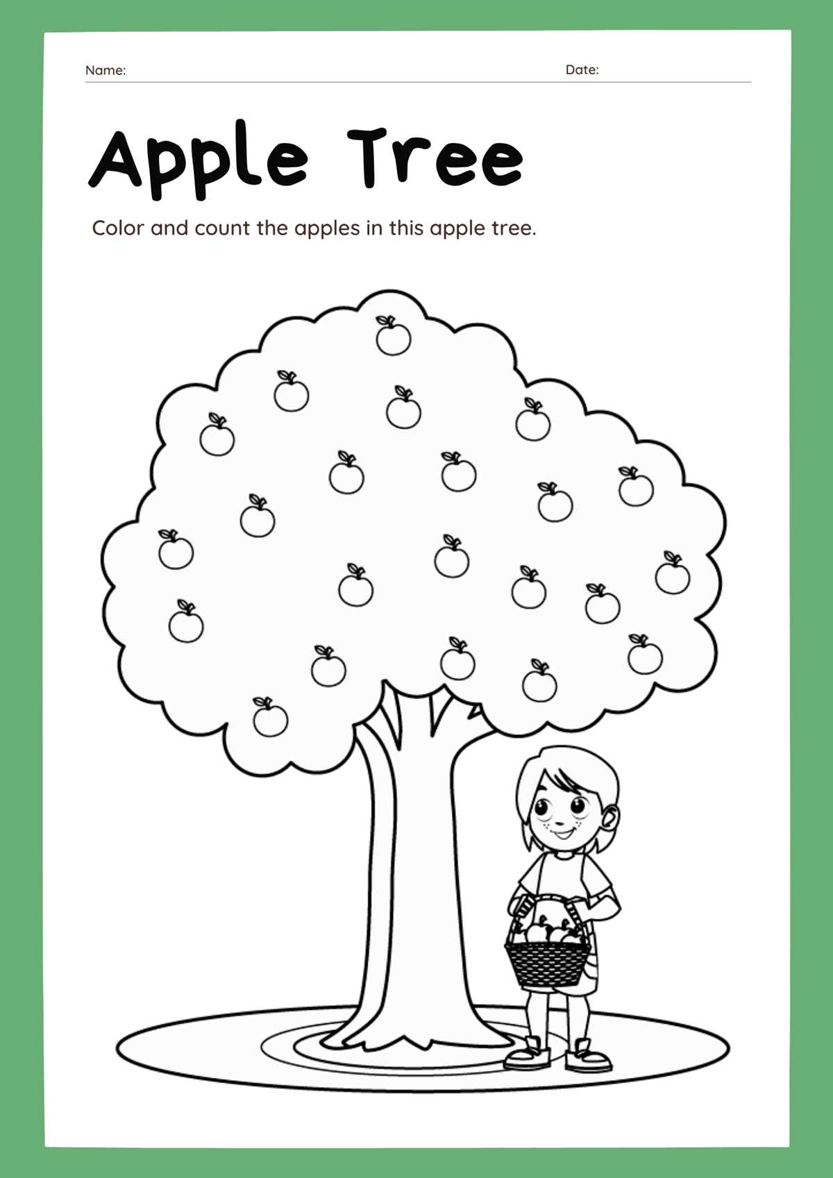 apple tree life cycle worksheet