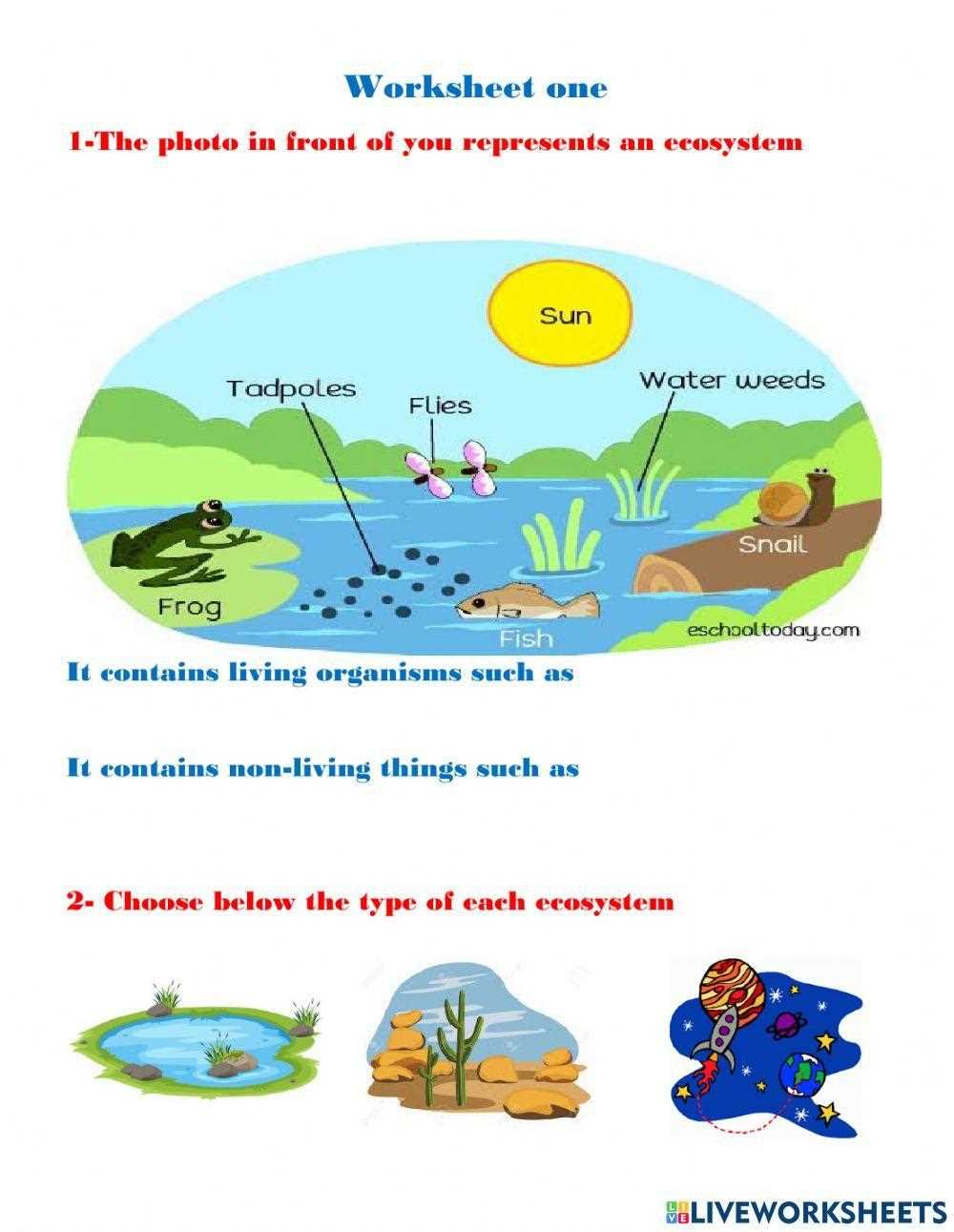ecology worksheets ecology worksheets