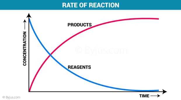 rate of reaction graph worksheet