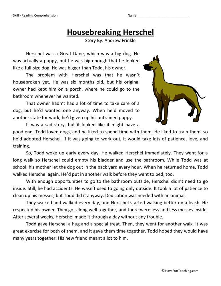 reading comprehension worksheets for 4th grade