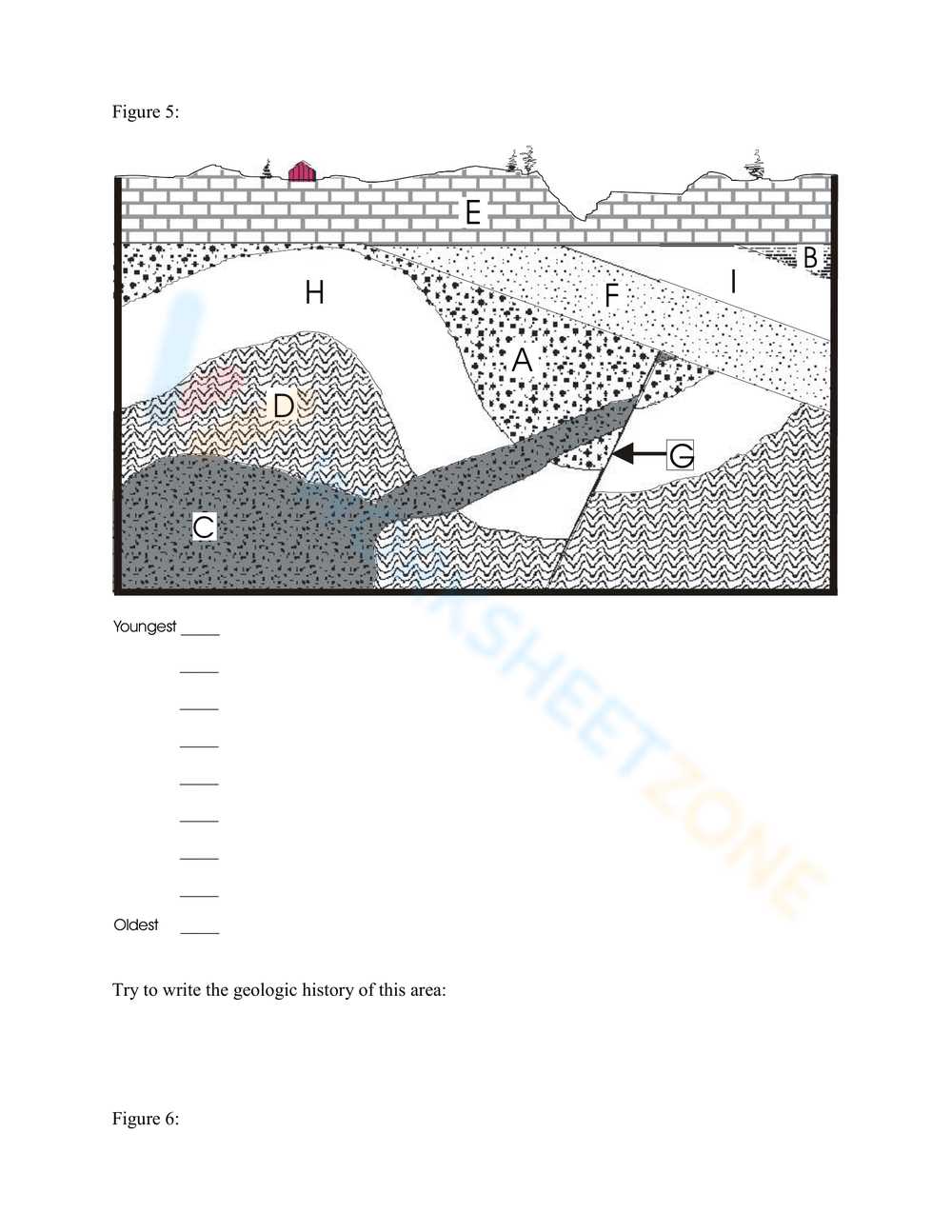 relative dating worksheet