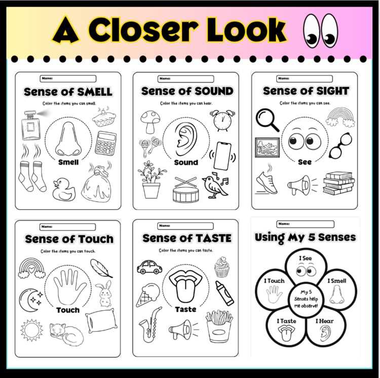 printable sense of sight worksheet