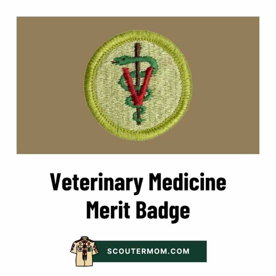 mammal study merit badge worksheet