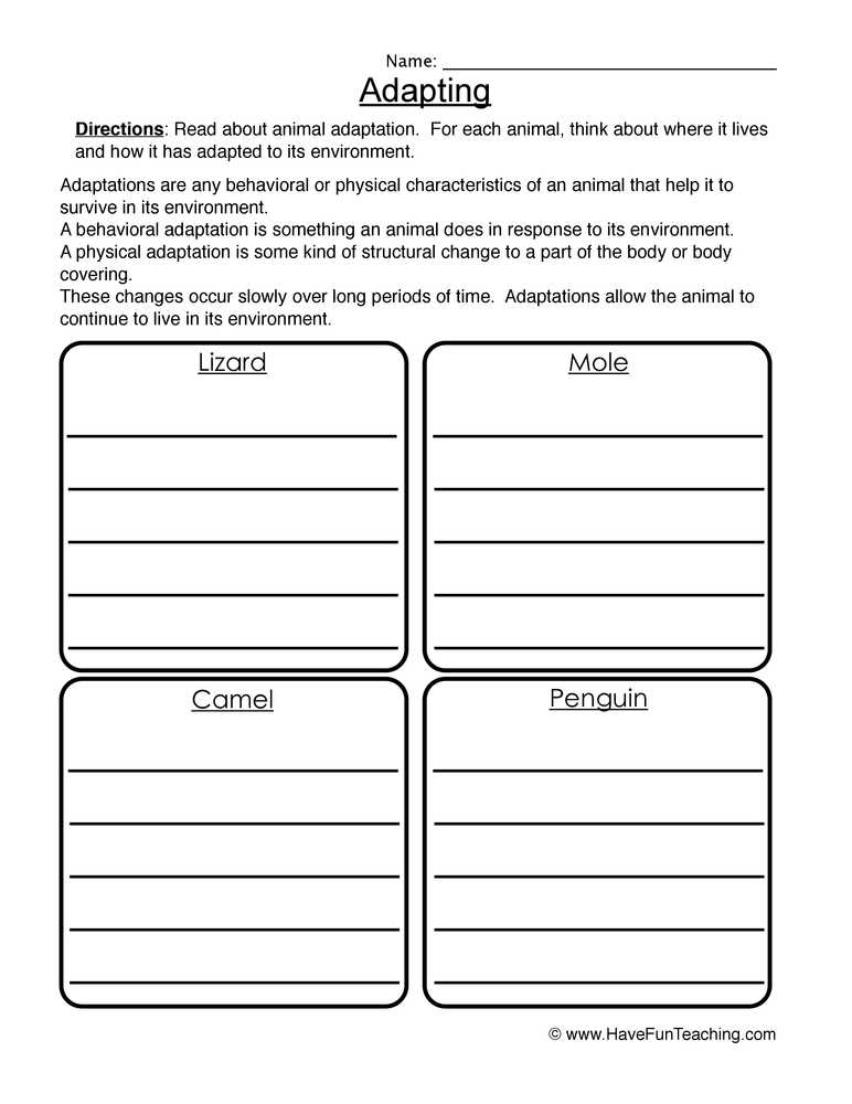 adaptations worksheet