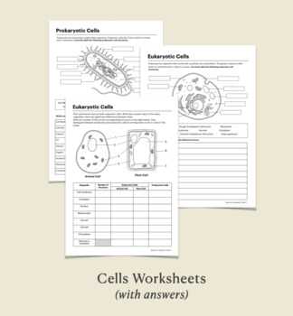 cell questions worksheet