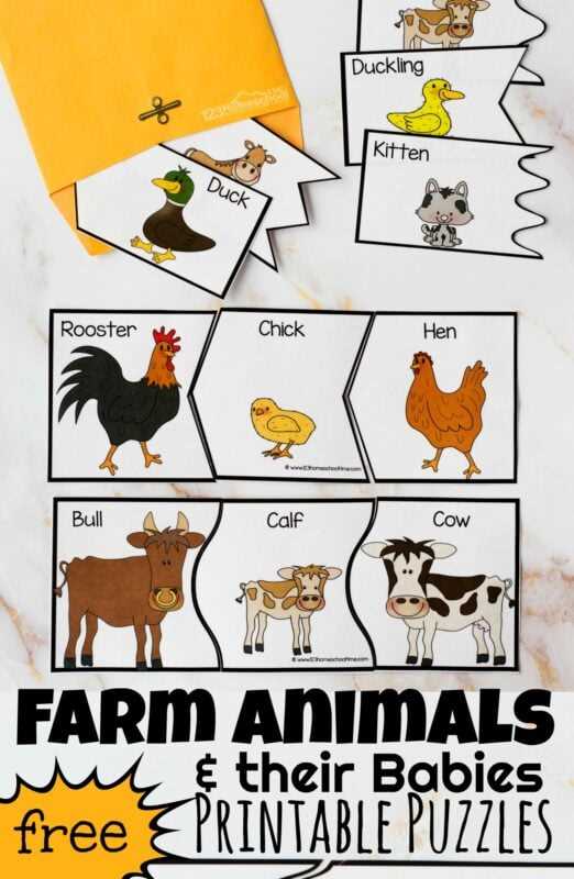 farm animals in french worksheets