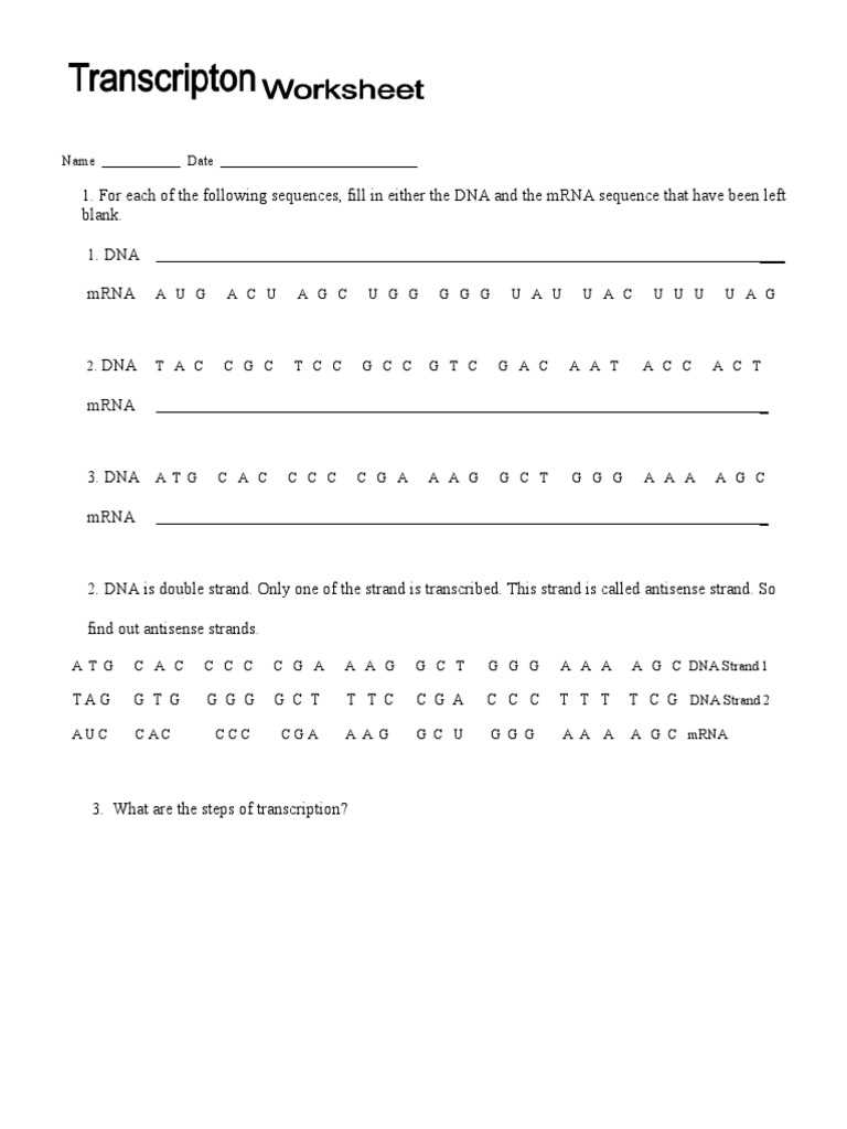 blank dna worksheet