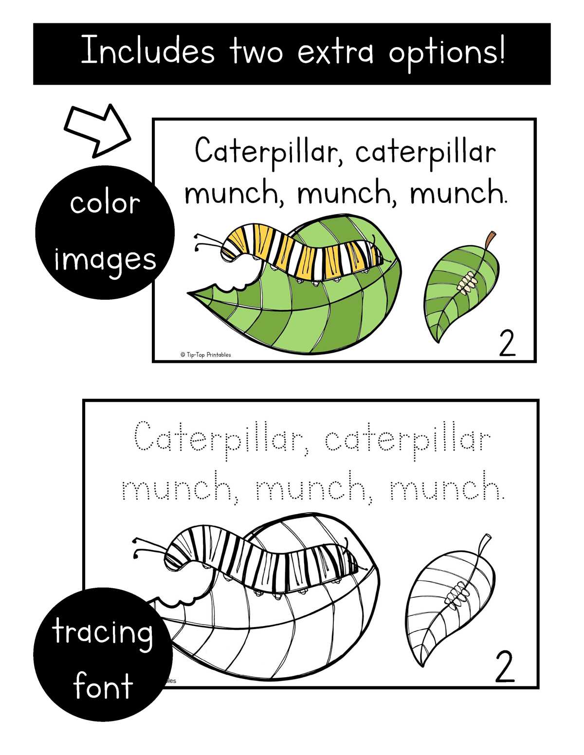 caterpillar cycle worksheet