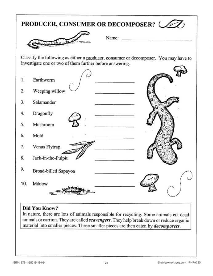 science for 4th graders worksheets