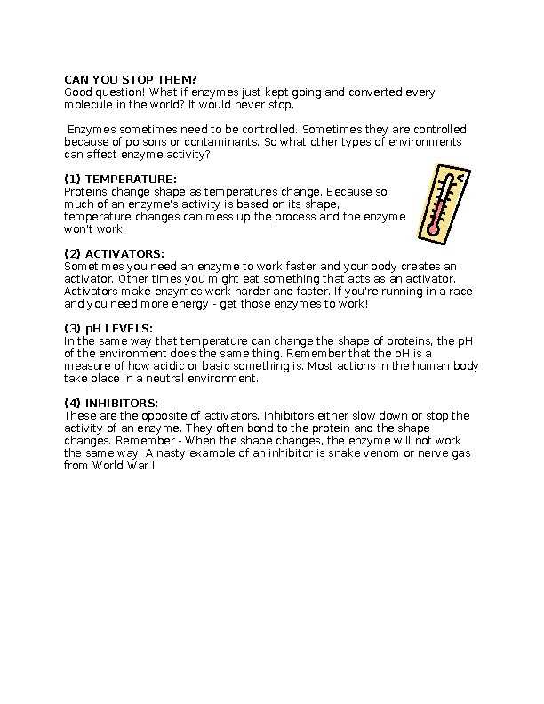 enzymes   how do they work worksheet