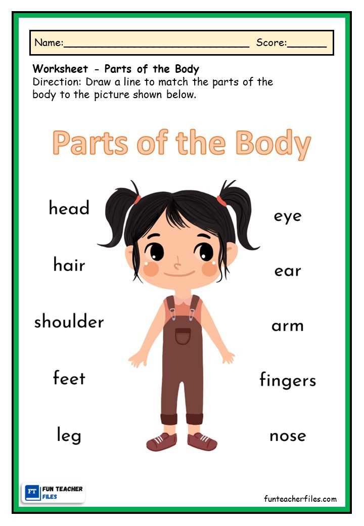 body parts printable worksheets for preschoolers