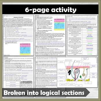 epidermis review worksheet science from scratch