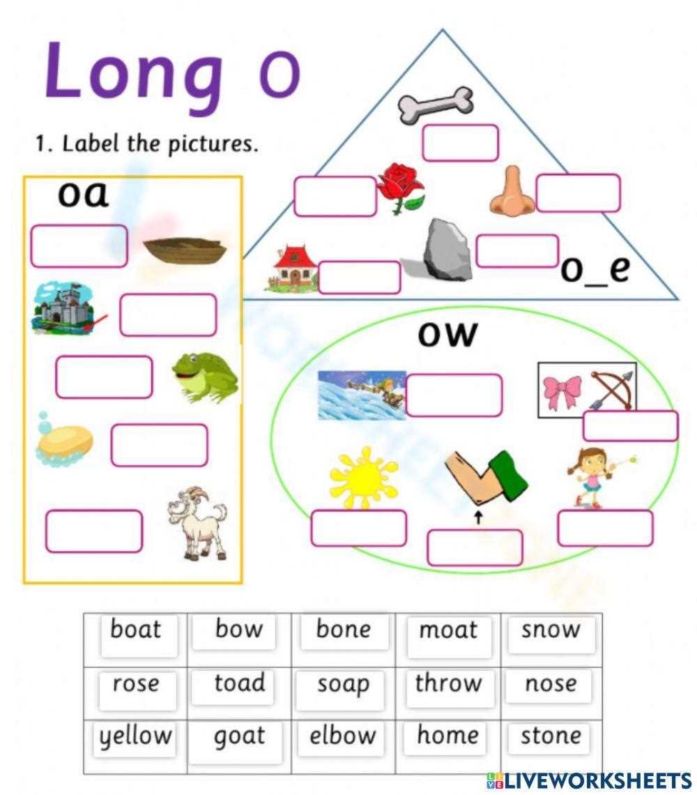 short and long o worksheets short and long o worksheets