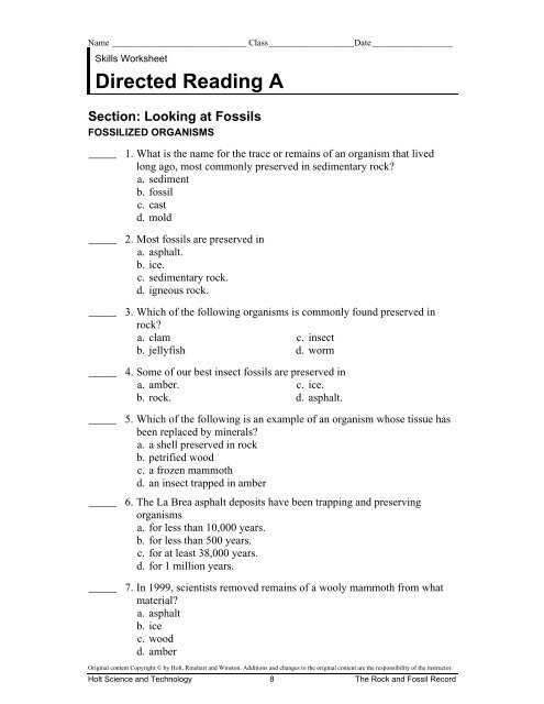 fossils reading worksheet